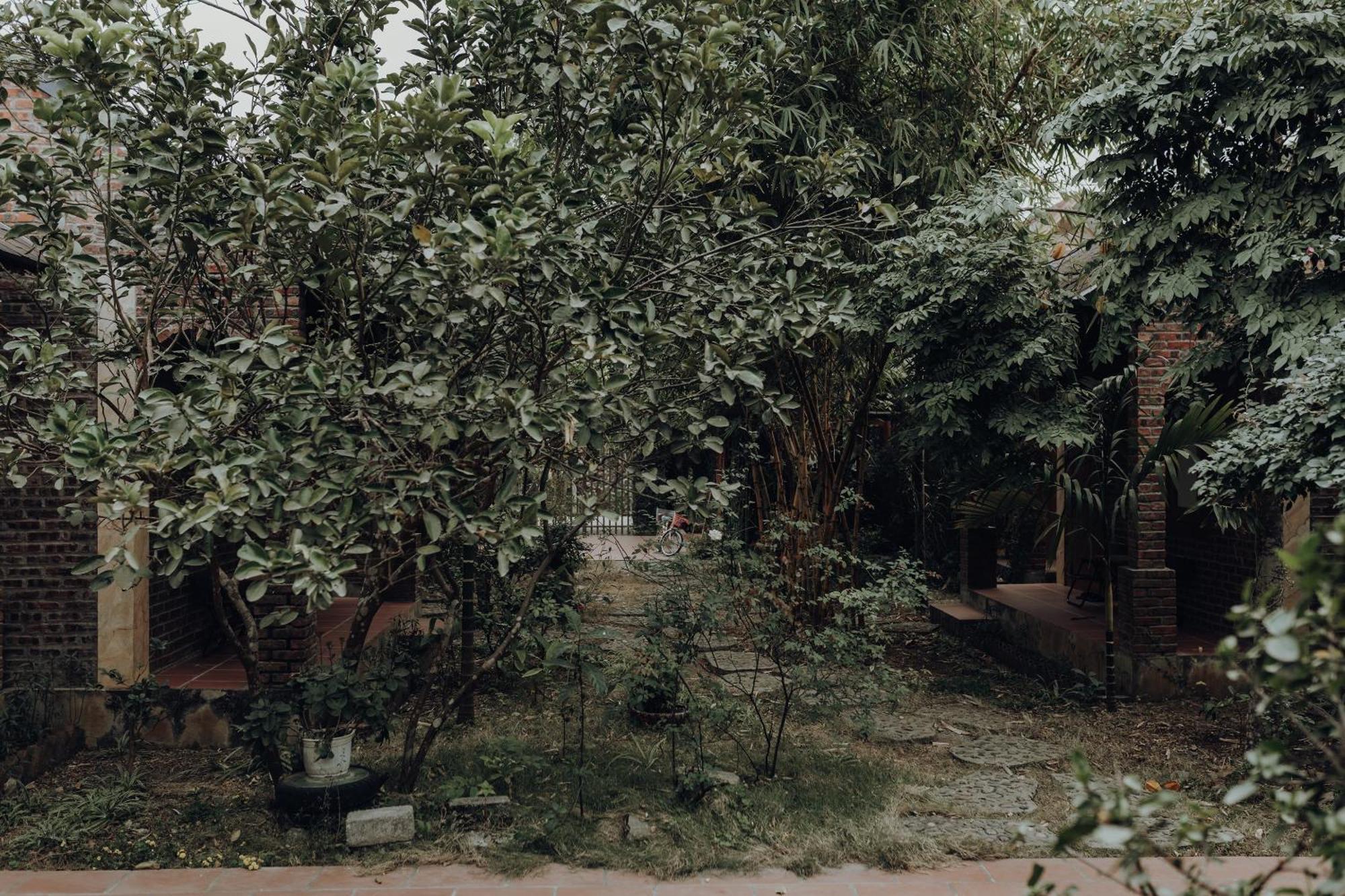 Ninh Binh Palm Homestay 외부 사진