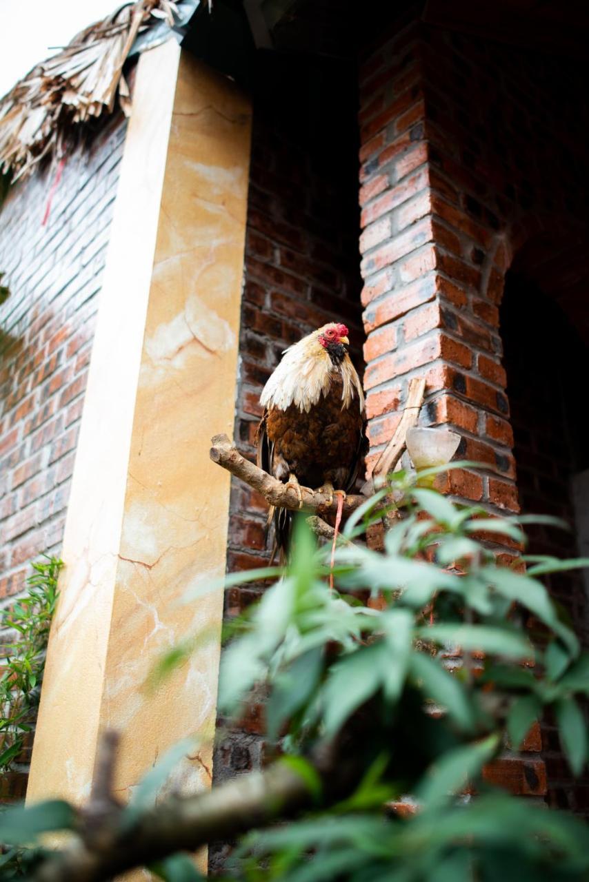 Ninh Binh Palm Homestay 외부 사진